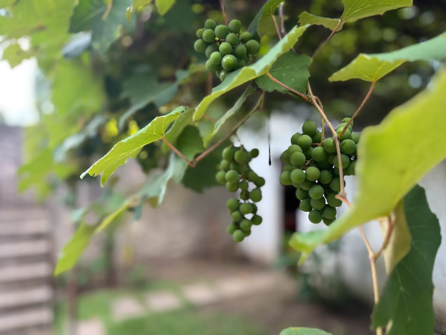 Venta Casa 4 ambientes · Galpón · Jardín · Don Torcuato - Foto 22